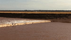 Moncton super bore surfers hit by surprise wave