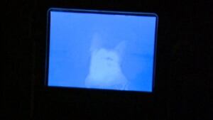 K9 storm intruder camera