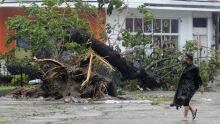 Typhoon Haiyan
