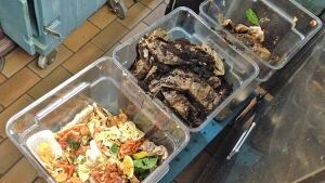compost material
