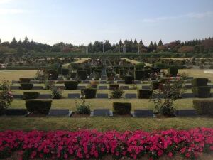Flowers at the cemetery