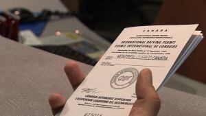 International driver's permit