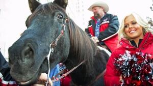 Marty the horse
