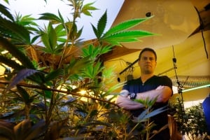 Legalizing Marijuana