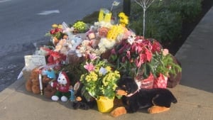 Pitt Meadows memorial