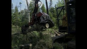 Mi'kmaq land deal