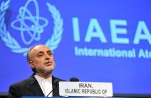 Austria Nuclear Iran