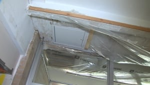 Mould in the ceiling near Alistair Bath's office