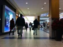 Polo Park