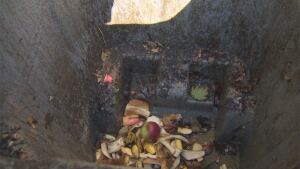 Food scraps
