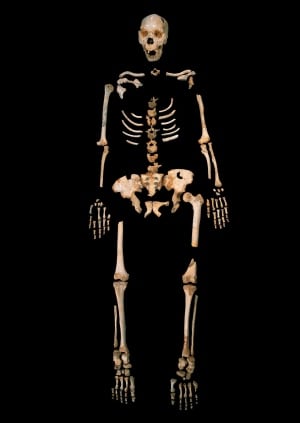 Human Ancestor DNA