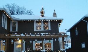 Tree roof