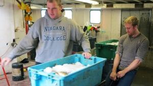 Lake Erie fishery