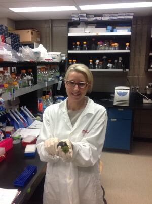 sarah-kimmins-mouse-lab