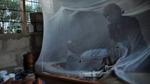 Malaria bednet