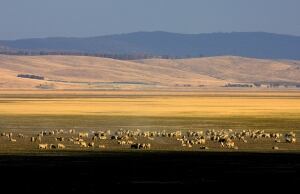 WEATHER AUSTRALIA DROUGHT