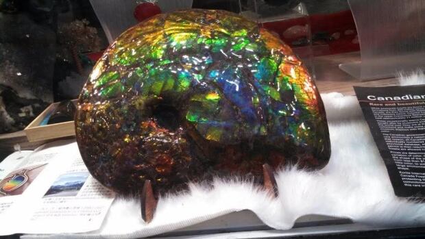Ammonite gemstone Gastown