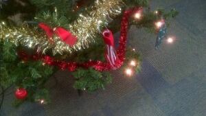 Christmas Tree SASK
