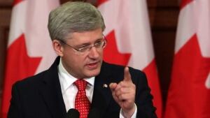 nl cp stephen harper
