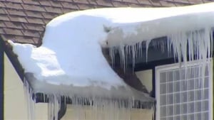 Ice dam
