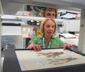 Scanning specimens