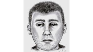 Break and enter suspect
