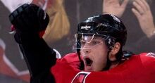 NHL Islanders Senators 20131101