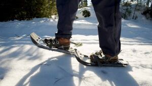 Outdoors Mount Adams XC Skiing