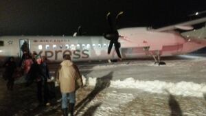 Icy plane
