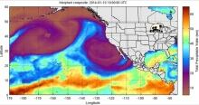 Storm bringing rain, wind to B.C. South Coast Friday