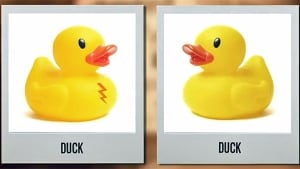 hi-duck-coffee-852.jpg