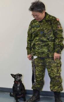 PTSD Dog On Plane 20140113