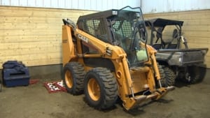 bobcat