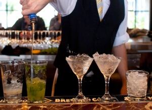 Alcohol Brain