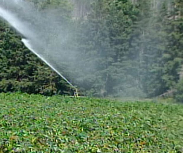 Irrigation