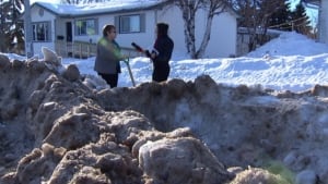 Snow pile