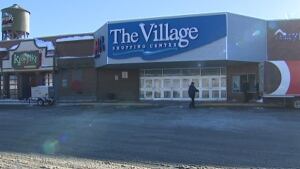 Village Mall