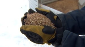 Grain