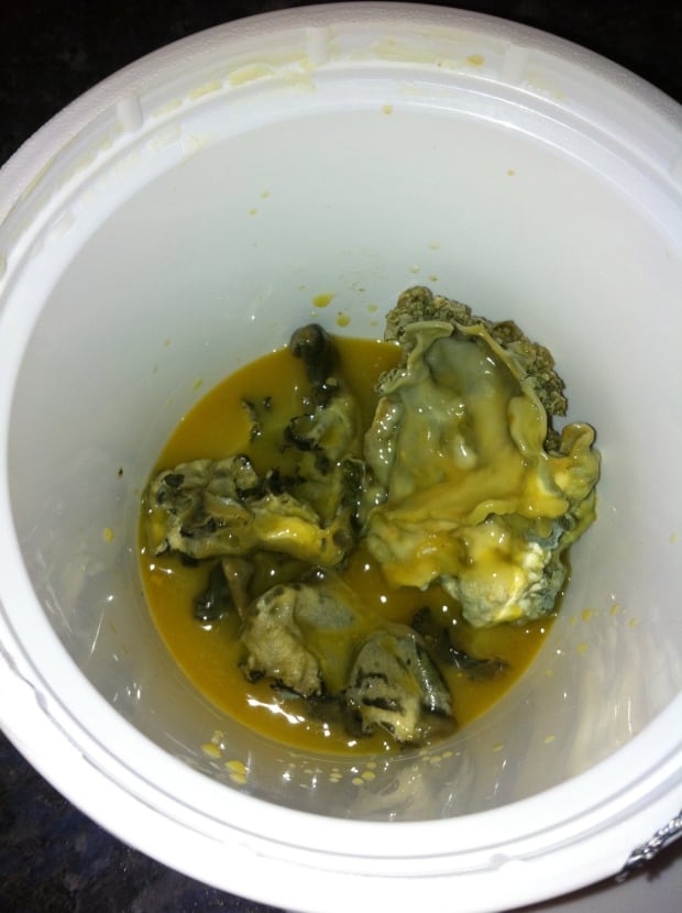 Moldy juice