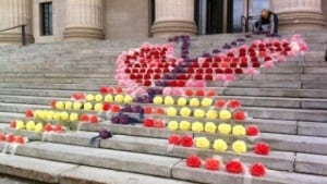 Winnipeg Vigil Flowers