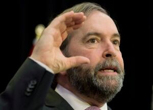NDP Strategy 20140117