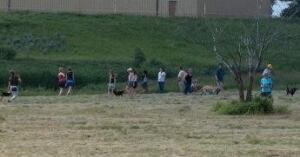 skpic off-leash dog park