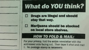 John Williamson marijuana questions