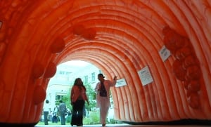 Inflatable Colon