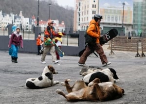 Russia Ski Season Opening