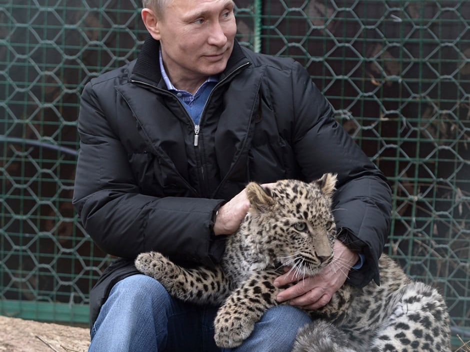 Super Putin leopard
