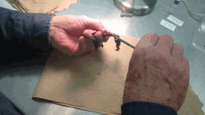 New Brunswick Museum will send tissue samples of bats for genetics testing