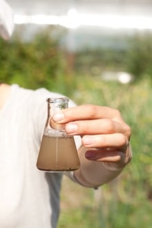 erlenmeyer flask water sample 147912113
