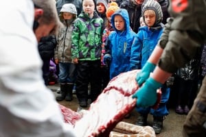 Denmark Zoo Kills