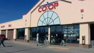 Co-op